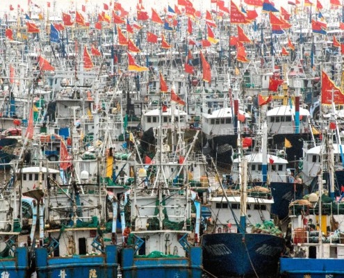 중국의 수산물 생산량(어획+양식) 통계