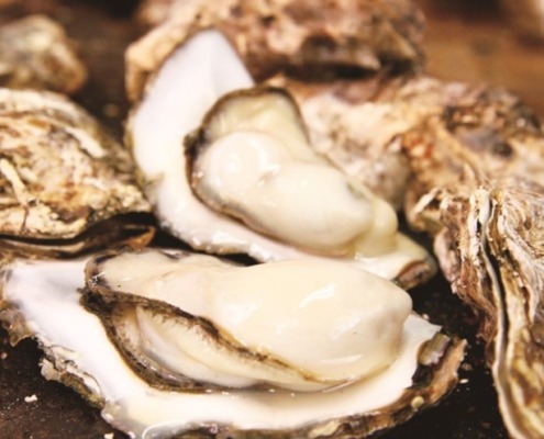 전 세계 굴 생산량 통계와 우리나라의 대외무역수지