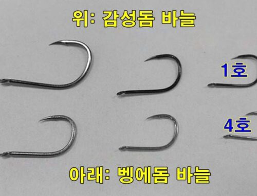 같은 호수(號數)의 바늘인데 왜 크기가 다를까?