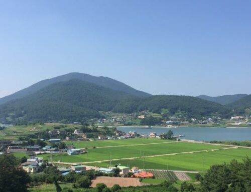 남해도 동부/신수도/창선도 지역 갯바위 포인트(27개소)