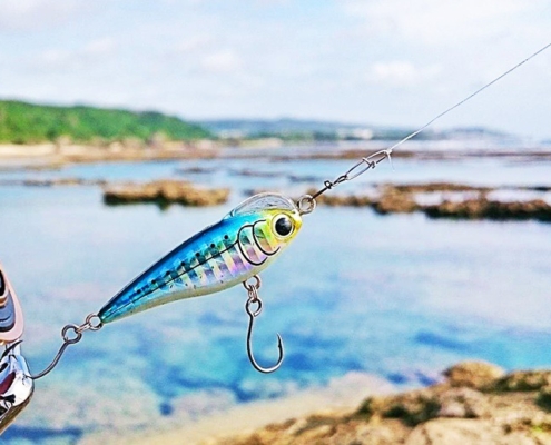 루어낚시 초보와 고수의 차이