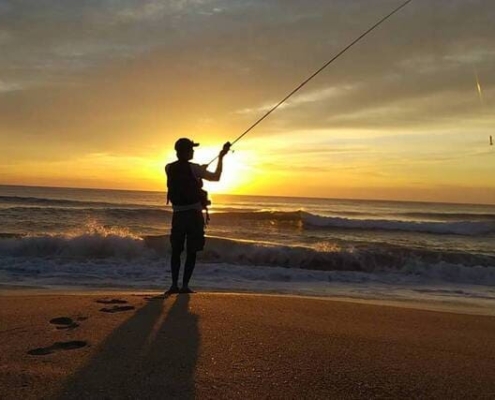 버트 캐스팅이란 어떤 것일까?