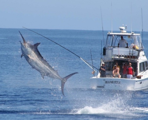 세계의 유명 낚시인⑤ 최단기간 월드 슬램을 달성한 러스 헨슬리(RUS HENSLEY)