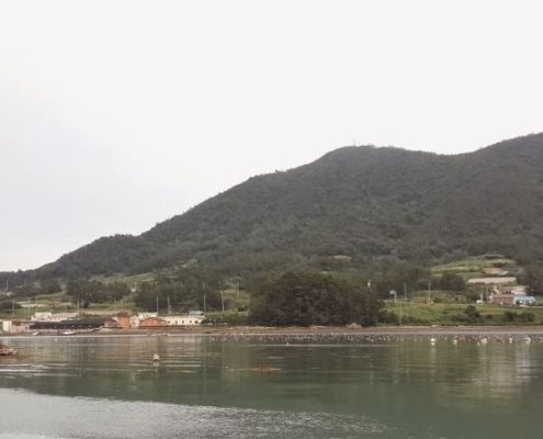 완도군 신지도 갯바위낚시 포인트(22개소)