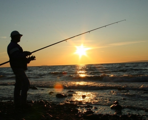 낚시와 빛(조명)의 관계