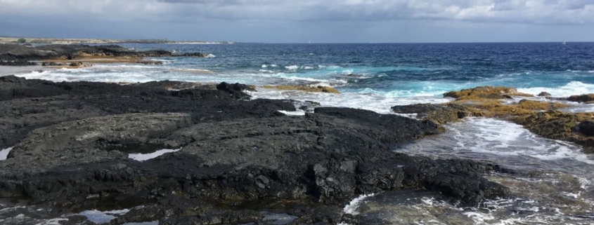 만조까지 노려야 할 포인트, 조간대에 형성되는 조수웅덩이(Tide pool)