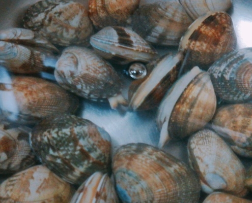 바지락을 가장 맛있게 먹기 위해서 반드시 해야 하는 것!