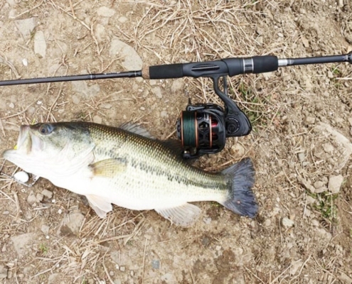 배스 낚시와 스트라이크 존