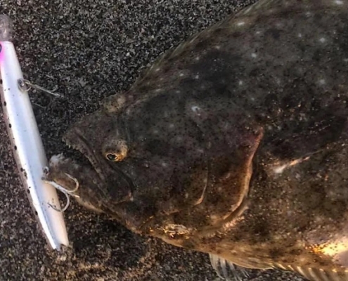 서프루어 채비-플로팅 미노우의 장단점