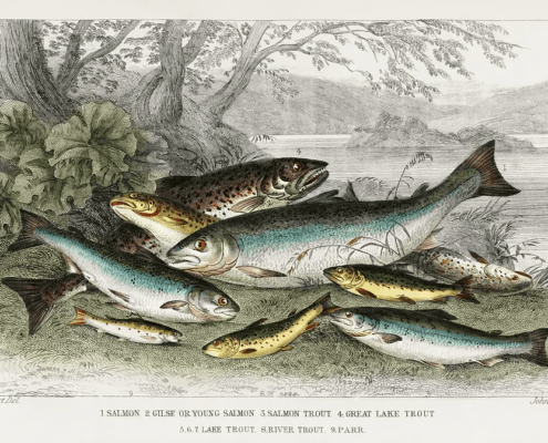 조어대전 제16장: 잡다한 이야기들