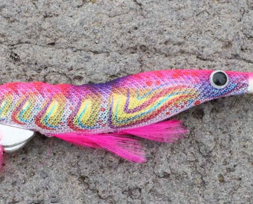 지역에 맞게 특화된 에기의 형태