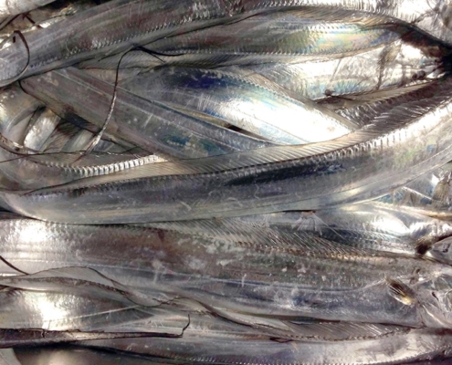 갈치를 먹기 쉽게 손질하는 방법