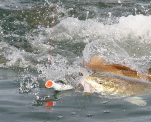 루어낚시의 공략 수심과 리액션 바이트