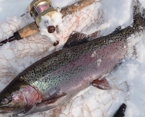 루어낚시의 보텀 컨택트(Bottom Contact)패턴