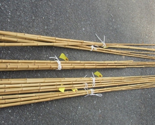 실종된 낚싯대의 역사를 찾아서