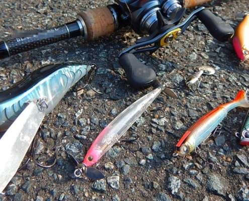 하드 베이트 루어의 액션