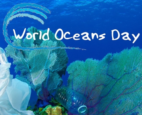 6월 8일은 세계해양의 날