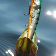 루어낚시의 저크와 트위치의 차이