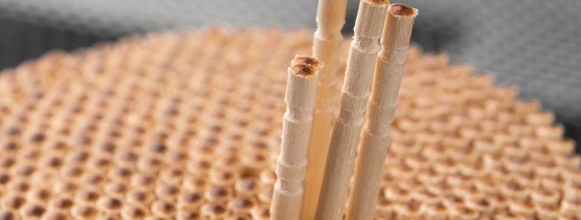 이쑤시개와 낚시용품