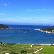 완도군 청산도, 대모도 부근 갯바위 포인트(20개소)