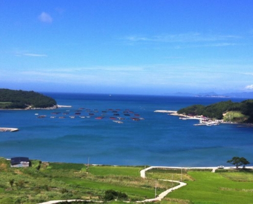 완도군 청산도, 대모도 부근 갯바위 포인트(20개소)