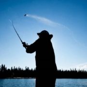 구분동작으로 배워보는 펜듈럼(pendulum) 캐스팅