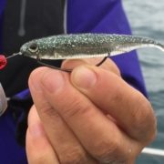 텍사스리그와 프리리그의 차이점과 만드는 방법