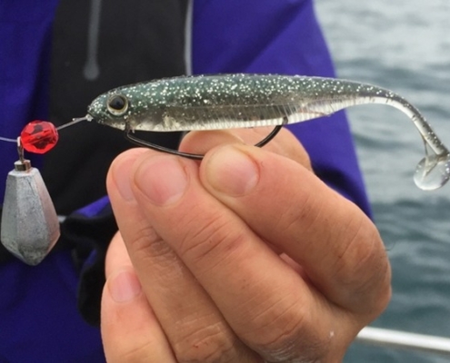 텍사스리그와 프리리그의 차이점과 만드는 방법