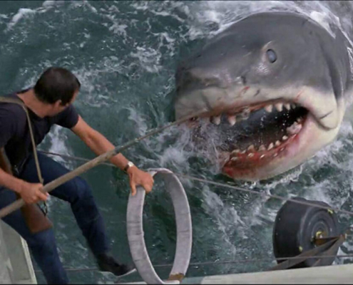 상어는 인간의 피 냄새와 물고기의 피 냄새 중 어느 쪽에 더 반응할까?