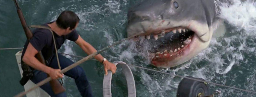 상어는 인간의 피 냄새와 물고기의 피 냄새 중 어느 쪽에 더 반응할까? 상어는 인간의 피 냄새와 물고기의 피 냄새 중 어느 쪽에 더 반응할까?