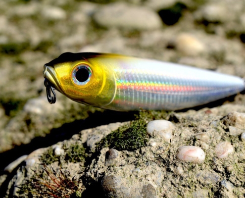 초보자를 위한 싱글 훅, 더블 훅, 트리플 훅의 선택 기준