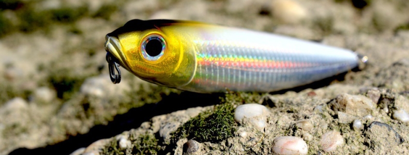 초보자를 위한 싱글 훅, 더블 훅, 트리플 훅의 선택 기준 초보자를 위한 싱글 훅, 더블 훅, 트리플 훅의 선택 기준