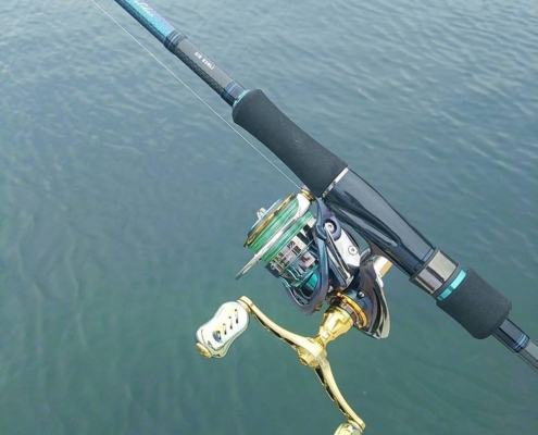 다이와 에메랄다스 이름의 유래