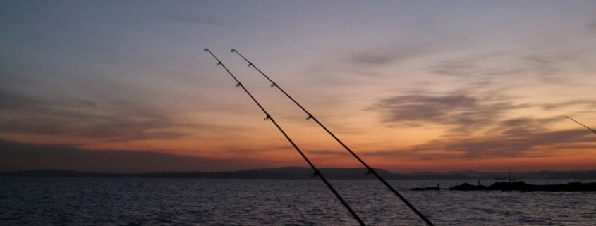 원투낚시 초보자들이 채비할 때 알아두면 좋은 점 원투낚시 초보자들이 채비할 때 알아두면 좋은 점