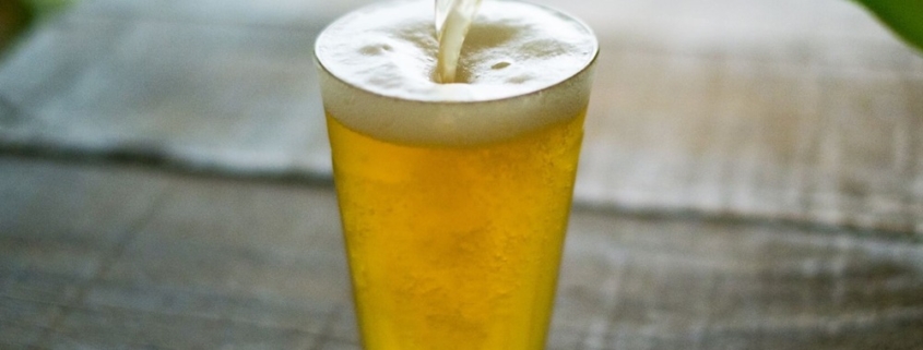 밑밥이나 떡밥에 술(酒)을 섞으면 효과가 있을까? 밑밥이나 떡밥에 술(酒)을 섞으면 효과가 있을까?